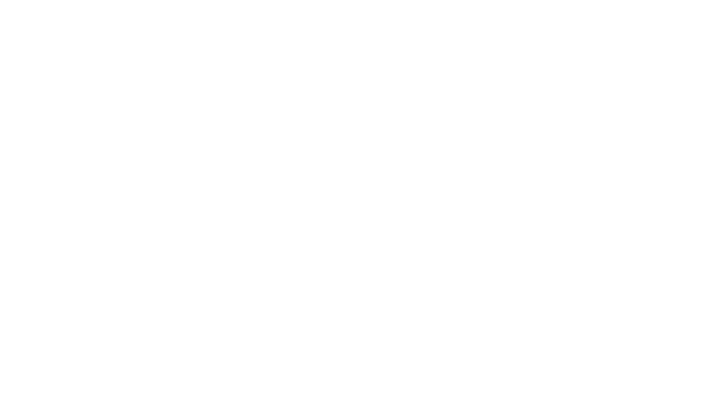 Page Industries